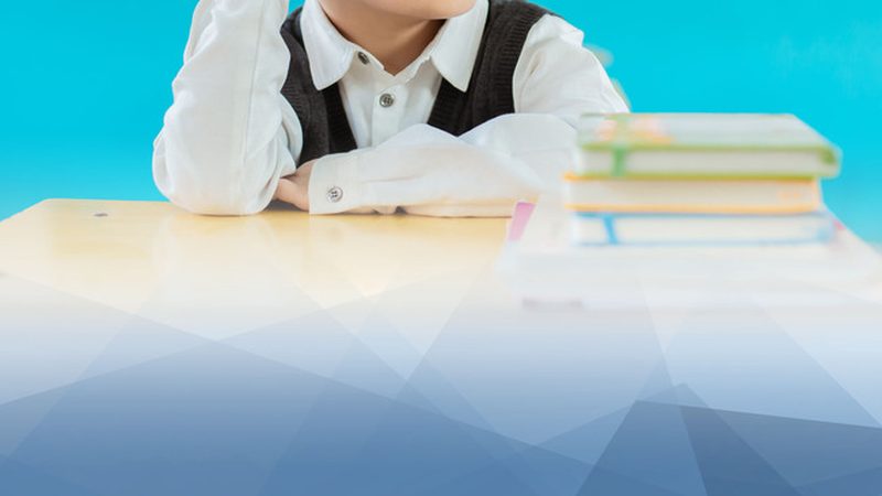 揭秘企业培训代理加盟成功率的关键因素